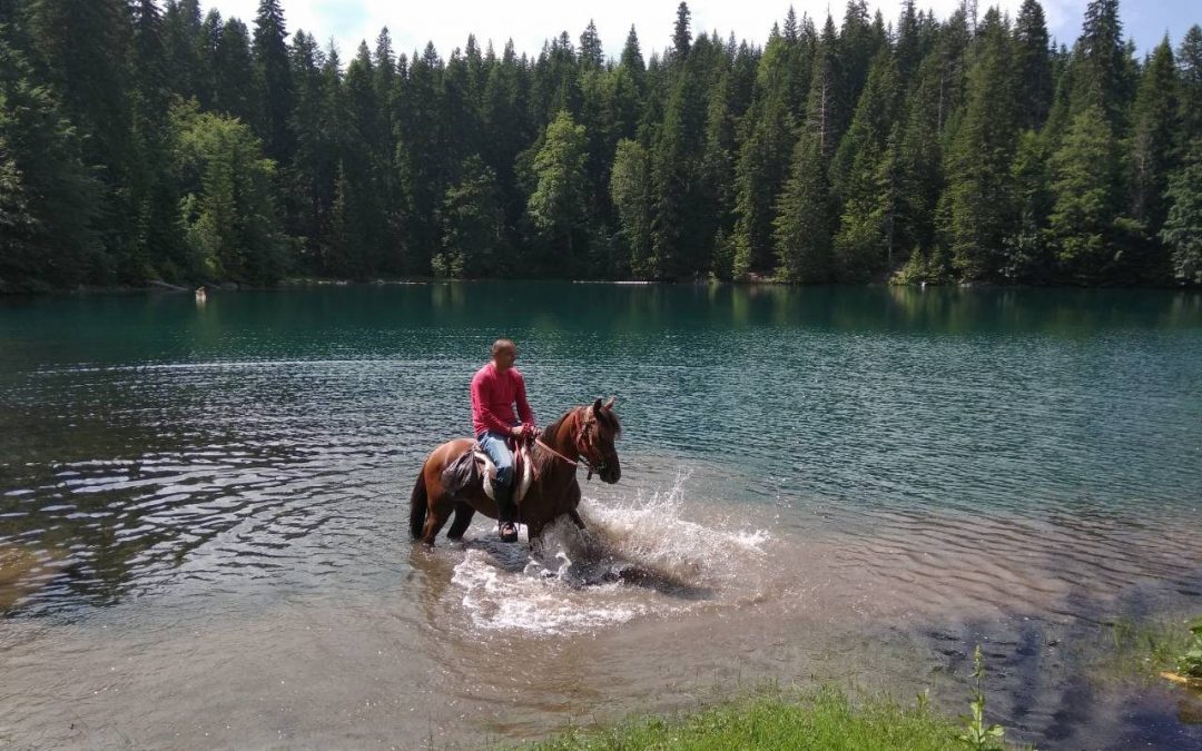 Ilija, ein merkwürdiger Pferdeflüsterer und Naturfreund, der heimgekehrt ist